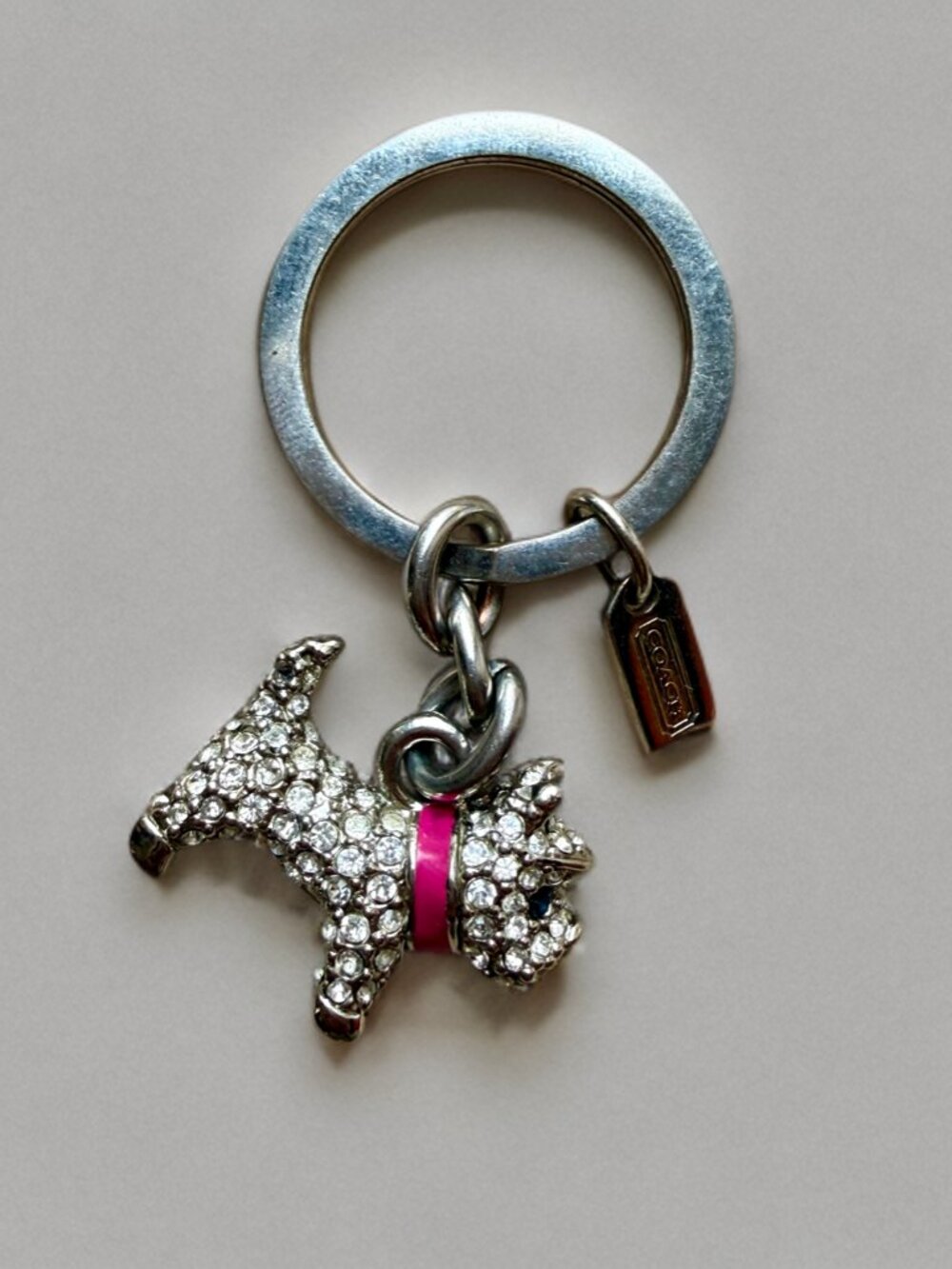 Coach Silver Rhinestone Dog Charm